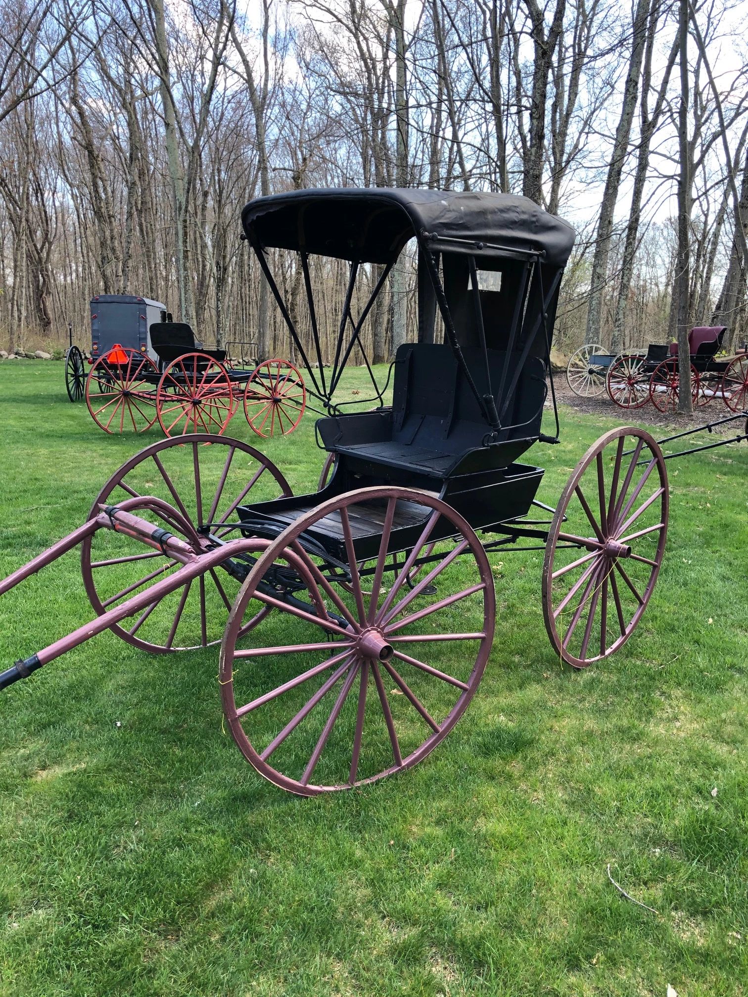 Amish Wagons